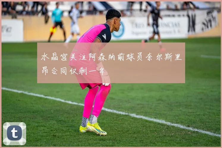 水晶宫关注阿森纳前球员奈尔斯里昂合同仅剩一年